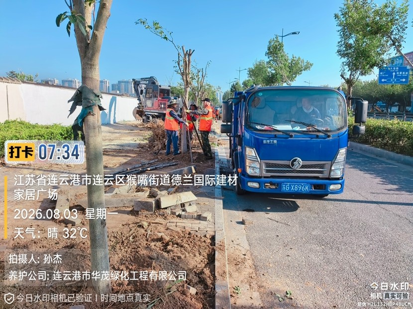 1785916884912 上網(wǎng)1